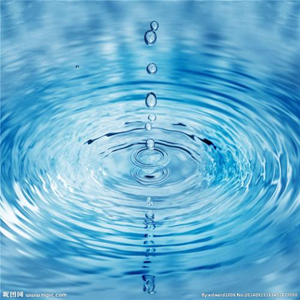 水質檢測總項目